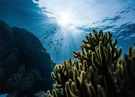 COP16 落幕 生物多樣性融入經濟和社會各層面趨勢日益顯著