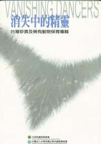 消失中的精靈